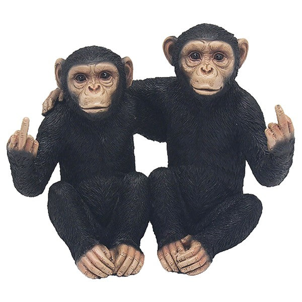 Cheeky Monkey Pair