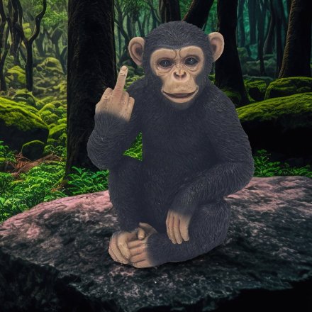 Middle Finger Cheeky Monkey